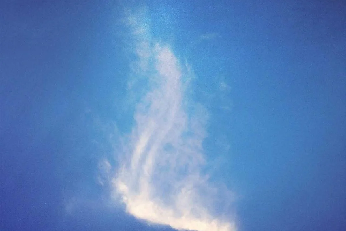 ที่ดิน 50 ตร.ว. ในเมือง เหมาะสร้างคอนโด - 2