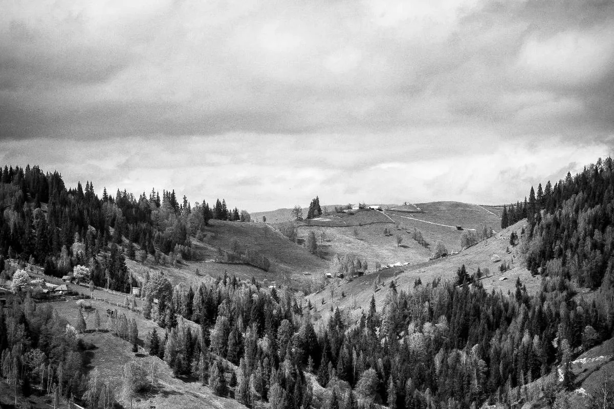 โฮมออฟฟิศ 3 ชั้น เหมาะทำสำนักงาน - 2