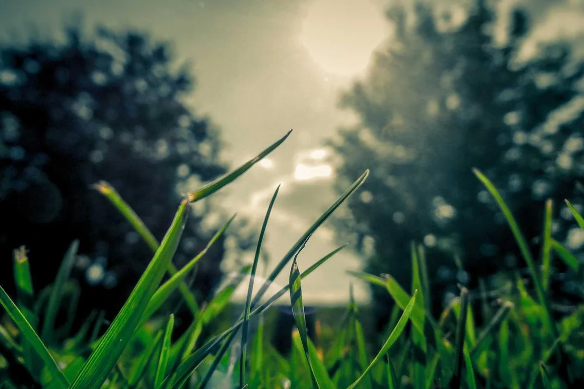 บ้านเดี่ยวชั้นเดียว ที่ดิน 100 ตร.ว. ราคาดี หัวหิน