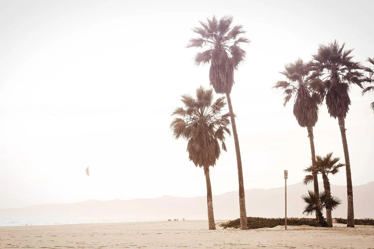 ที่ดิน 50 ตร.ว. ในเมือง เหมาะสร้างคอนโด - 2