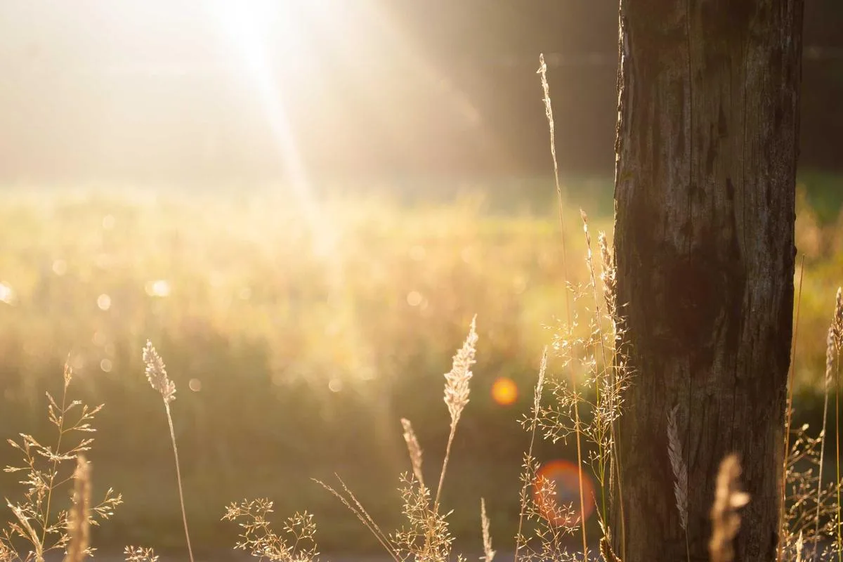 วิลล่าหรู 5 ห้องนอน สระว่ายน้ำอินฟินิตี้ วิวทะเล