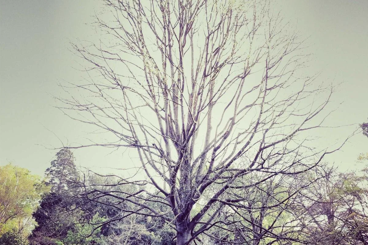 ทาวน์เฮ้าส์ 3 ชั้น ทำเลดี ใกล้ตลาด