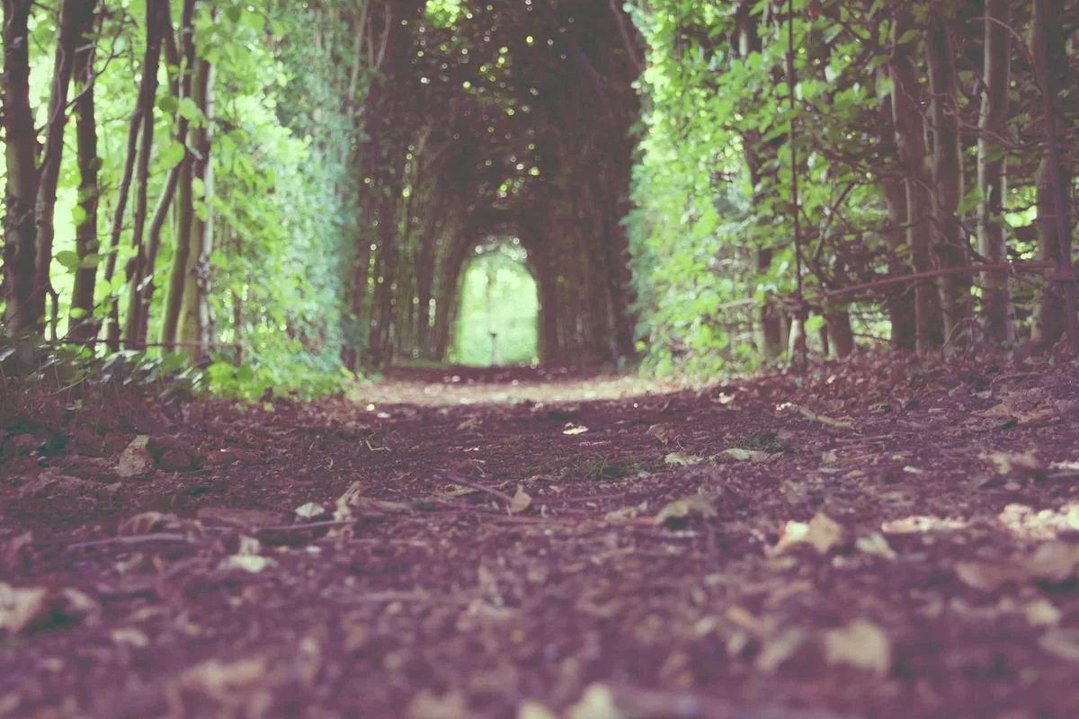 ห้องเช่า อพาร์ตเมนต์ รายเดือน เฟอร์นิเจอร์ครบ